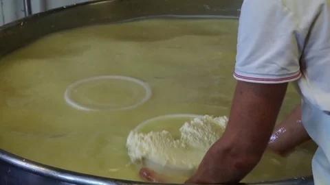 How make cheese Video stock 81999400