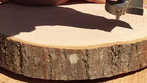 How to make furniture. Stock Footage 200031605