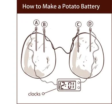 How to make a potato battery vector illustration Stock Illustration