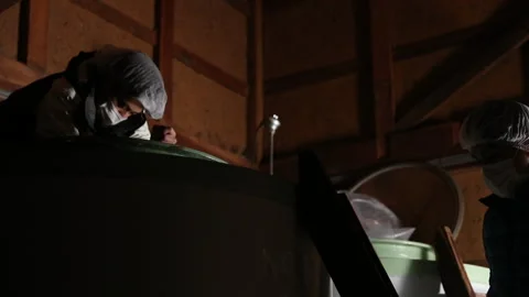 How to make sake Stock Footage 161861199