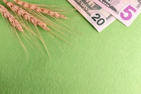 How much does the wheat cost Ripe ears and small dollar bills on a green back Stock Photos