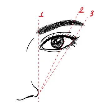 How to paint the eyebrows. Vector trendy makeup scheme. Stock Illustration