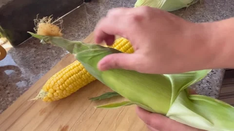 How to Peel Fresh Corn on the Cob Stock Footage 345320360