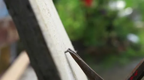 How to pull out a nail Video stock 11457601