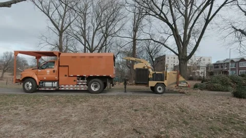 How to recycle dispose of Christmas Tree Stock Footage 200767333