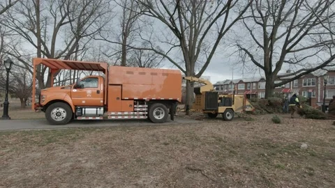 How to recycle dispose of Christmas Tree Stock Footage 200770040