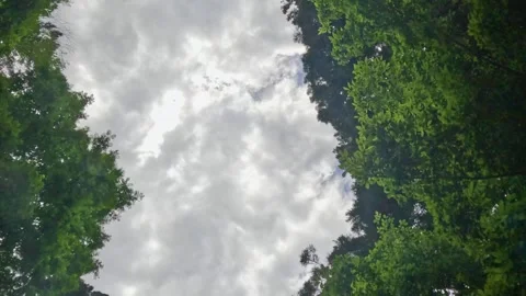 How to run in the forest Stock Footage 243495260