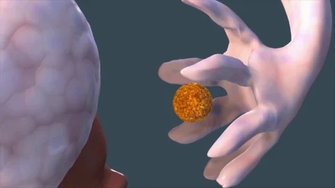How Sperm Meets Egg, Parents Vídeos de archivo 105382871