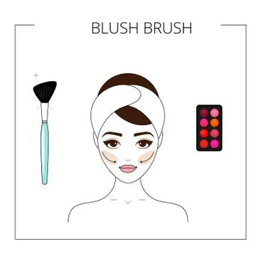 How to use blush brush,  blush palette. Beautiful young girl. Line style vect Stock Illustration