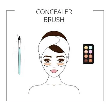 How to use concealer brush,  concealer palette. Beautiful young girl. Line st Stock Illustration