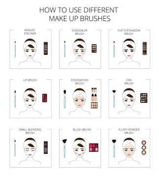 How to use different make up brushes, beautiful young girl, line art, vector  Stock Illustration