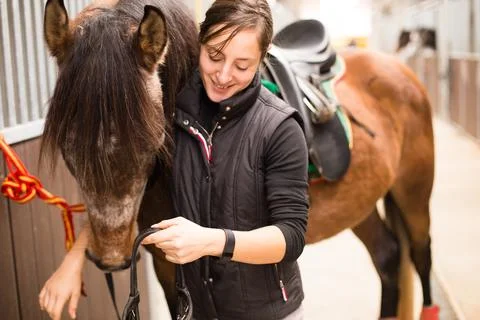 How to use horse bridle muzzle. Mid adult woman prepare in horse riding school Stock Photos