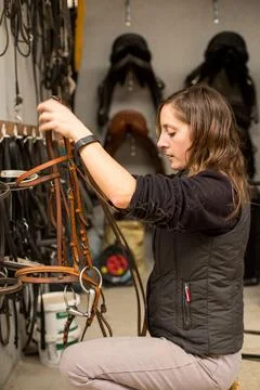How to use horse bridle muzzle. Mid adult woman prepare in horse riding school Stock Photos
