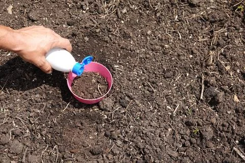 How to use hydrogen peroxide in the vegetable garden to learn about soil mi.. Stock Photos
