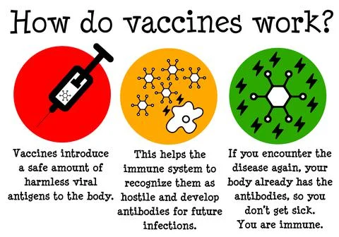How vaccines work Illustrazione stock