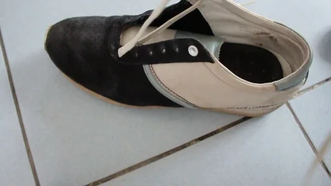 How to wear a shoe Stock Footage 73059880