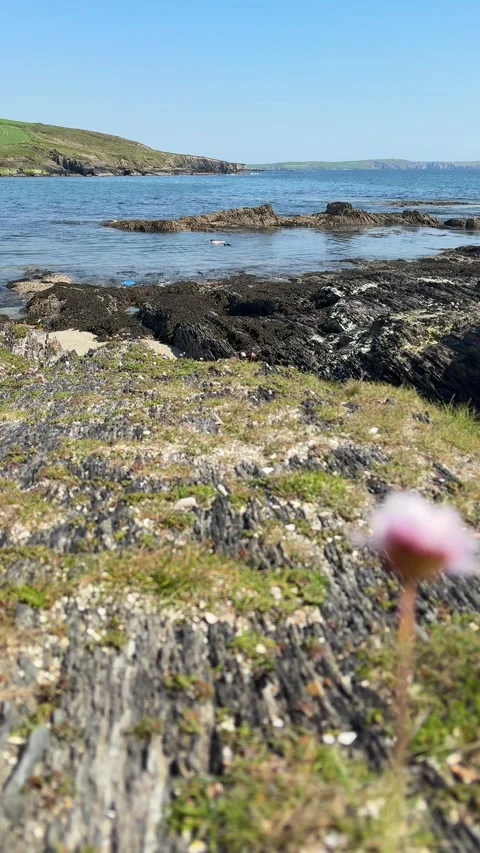 Howe Strand Beach in Spring. Stock Footage 325785258