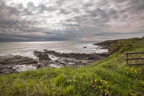 Howick dramatic coastline Fotos Stock