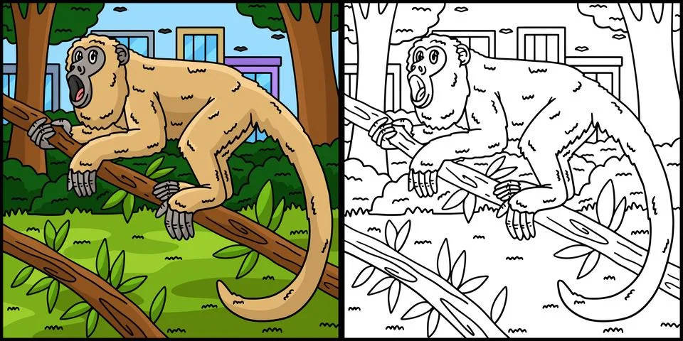 Howler Monkey Coloring Page Colored Illustration Stock Illustration