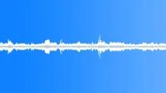 Howler Monkey Jungle Ambience - Loop Sound Effect