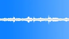 Howler MonkeySound Effect