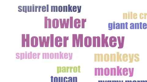 Howler Monkey Tag Cloud Animated Isolated On White Stock Footage 107234510