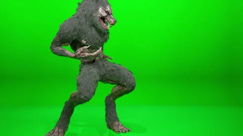 Howling Lycanthrope Action Sequence on Chroma Key Stock Footage 318207095
