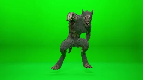Howling Lycanthrope Action Sequence on Chroma Key Stock Footage 318207400