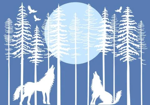 Howling wolf in fir tree forest, vector Stock Illustration