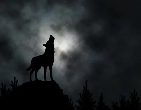 Howling wolf Stock Illustration