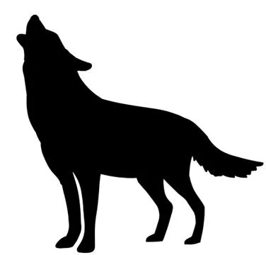 Howling Wolf Stock Illustration