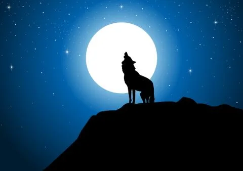 Howling Wolf Stock Illustration