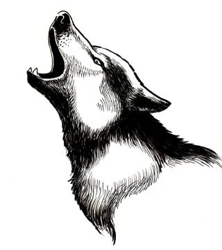 Howling wolf Stock Illustration