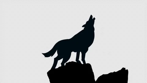 Howling wolf silhouette animation on an alpha channel Stock Footage 292536899