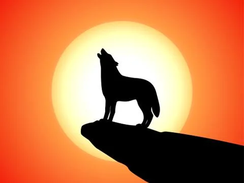 Howling wolf stands on a rock at sunset Stock Illustration