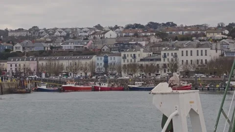 Howth Harbour with seagull on post looking at harbour Stock Footage 233296578