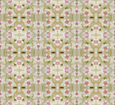 Hoya flowers seamless pattern background Stock Photos