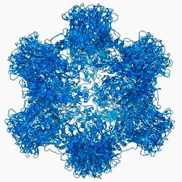 HPV L1 surface protein Stock Illustration