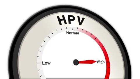 HPV Text or Word Level Low Normal High - Barometer or Tachometer Concept Stock Footage 308563408