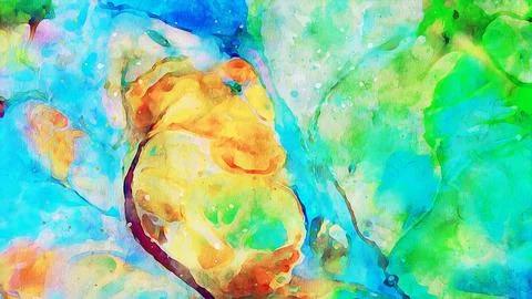 HQ Abstract Background Stock Photos