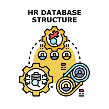 Hr database structure organizing human resources information Stock Illustration