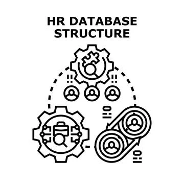 Hr database structure organizing human resources information Stock Illustration