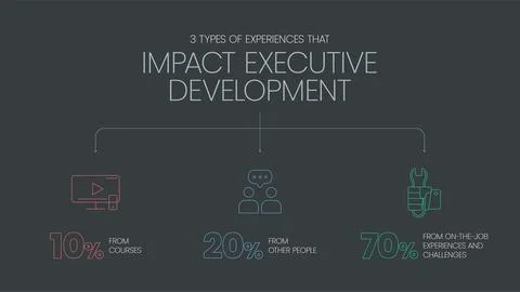 HR learning and development 3d pie chart vector  diagram is illustrated 70:20 스톡 일러스트