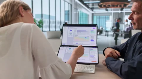 HR Manager And Team Using Software Stock Footage 337226113