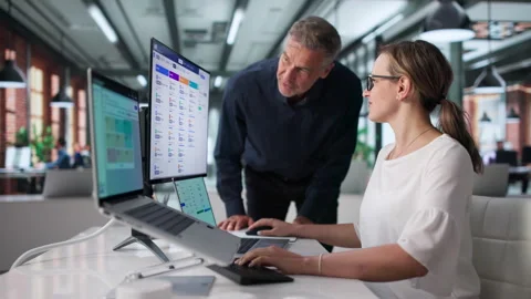 HR Manager Coaching Employee On Software Stock Footage 336792022