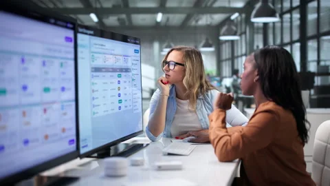 HR Manager Discusses Employee Performance Using Software Platform Stock Footage 346319916