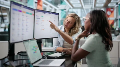 HR Manager Reviews Candidate Performance Goals Stock Footage 346319186
