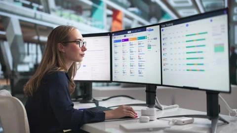 HR Manager Reviews Employee Data On Computer Stock Footage 339170111