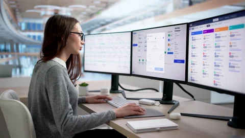 HR Manager Reviews Payroll Software On Computer Stock Footage 335454114