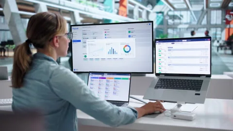 HR Manager Working On Payroll Software Vídeo Stock 342967651